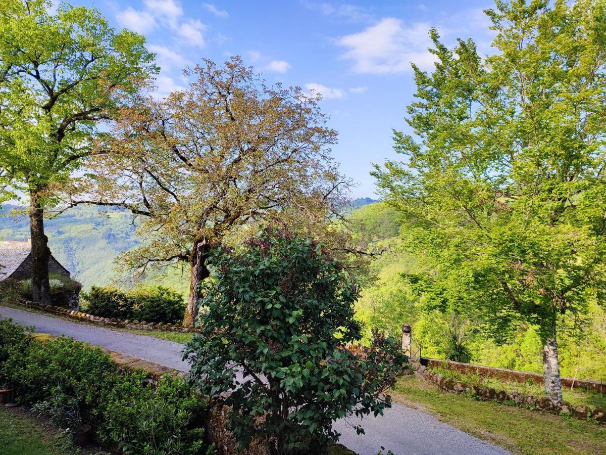 Maison Charmante A Florentin La Capelle Avec Jardin Et Vue Montagne Exterior foto
